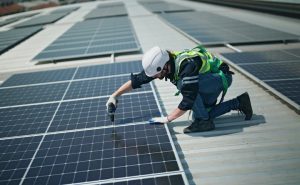 call-for-papers-past-present-and-future-of-green-jobs-policies-strategies-and-alternatives-december-2024